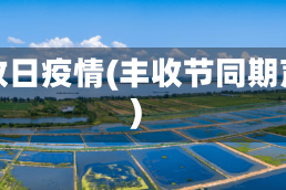 丰收日疫情(丰收节同期声)