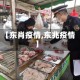 【东肖疫情,东兆疫情】