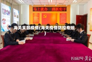 海关支部疫情(海关疫情防控专班)