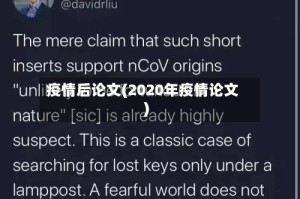 疫情后论文(2020年疫情论文)