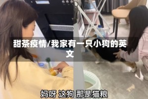 甜茶疫情/我家有一只小狗的英文