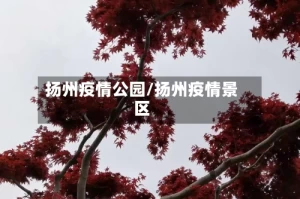 扬州疫情公园/扬州疫情景区