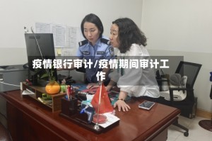 疫情银行审计/疫情期间审计工作