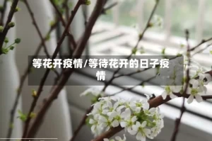 等花开疫情/等待花开的日子疫情