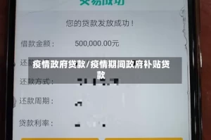 疫情政府贷款/疫情期间政府补贴贷款