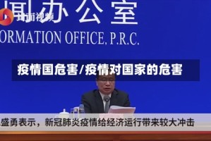 疫情国危害/疫情对国家的危害
