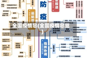全国疫情总(全国疫情总览)