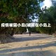 疫情被困小岛(被困在小岛上)