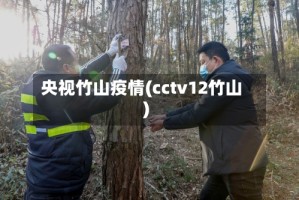 央视竹山疫情(cctv12竹山)