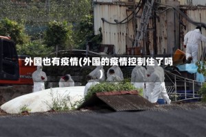 外国也有疫情(外国的疫情控制住了吗)