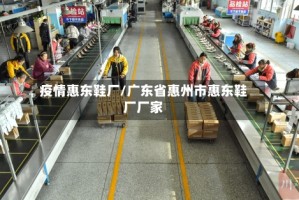 疫情惠东鞋厂/广东省惠州市惠东鞋厂厂家