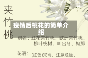 疫情后桃花的简单介绍