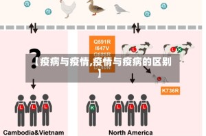 【疫病与疫情,疫情与疫病的区别】