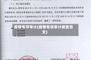 疫情专项审计(疫情专项审计报告范文)