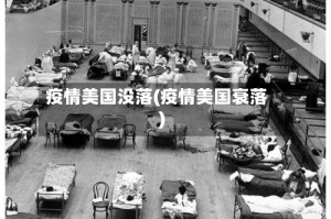 疫情美国没落(疫情美国衰落)