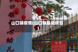 山口镇疫情(山口镇最新项目)