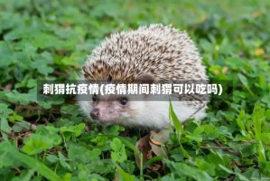 刺猬抗疫情(疫情期间刺猬可以吃吗)