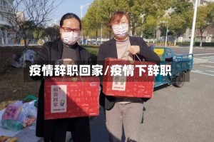 疫情辞职回家/疫情下辞职