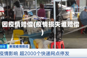 因疫情赔偿(疫情损失谁赔偿)