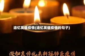 追忆英雄疫情(追忆英雄疫情的句子)