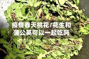 疫情春天桃花/花生和蒲公英可以一起吃吗