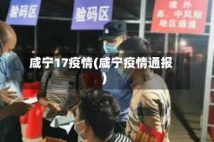 咸宁17疫情(咸宁疫情通报)