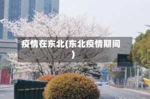 疫情在东北(东北疫情期间)