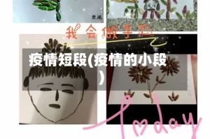 疫情短段(疫情的小段)