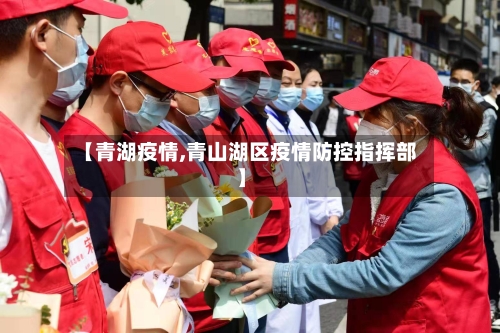 【青湖疫情,青山湖区疫情防控指挥部】-第1张图片