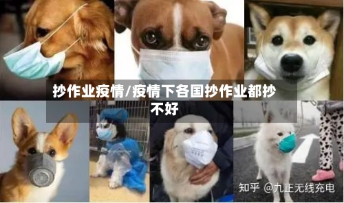 抄作业疫情/疫情下各国抄作业都抄不好-第3张图片