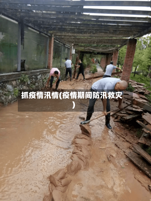 抓疫情汛情(疫情期间防汛救灾)-第2张图片