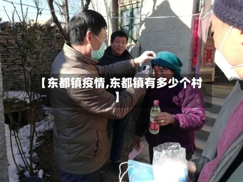 【东都镇疫情,东都镇有多少个村】-第3张图片