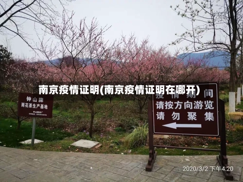 南京疫情证明(南京疫情证明在哪开)-第2张图片
