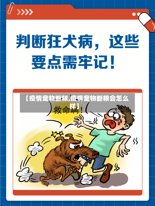 【疫情宠物断粮,疫情宠物断粮会怎么样】-第1张图片