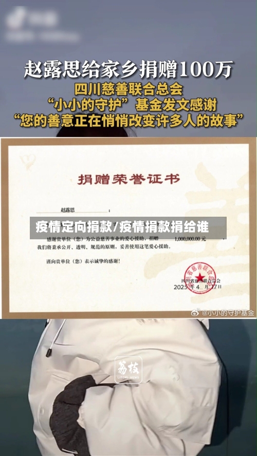 疫情定向捐款/疫情捐款捐给谁-第3张图片