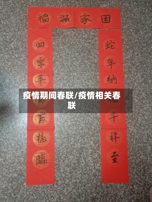 疫情期间春联/疫情相关春联-第3张图片