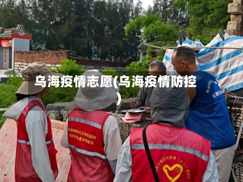 乌海疫情志愿(乌海疫情防控)-第1张图片