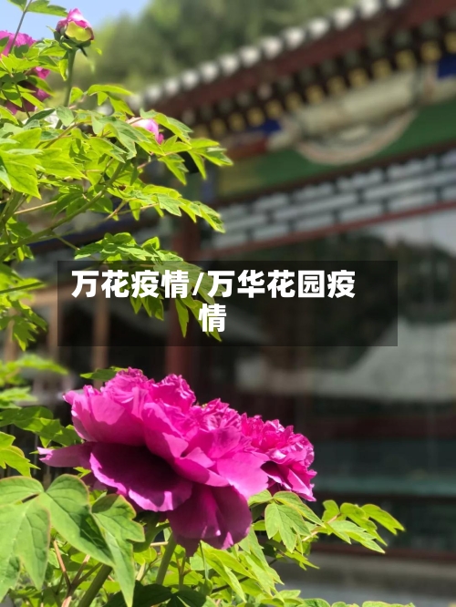 万花疫情/万华花园疫情-第1张图片