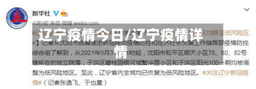 辽宁疫情今日/辽宁疫情详情-第2张图片