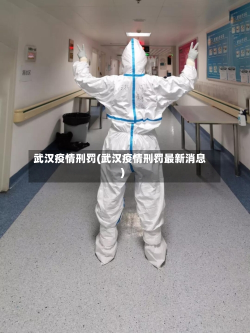 武汉疫情刑罚(武汉疫情刑罚最新消息)-第2张图片