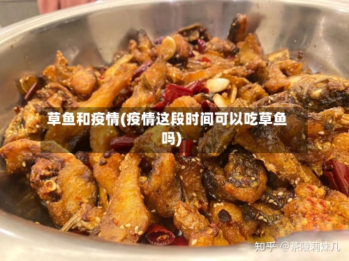 草鱼和疫情(疫情这段时间可以吃草鱼吗)-第1张图片