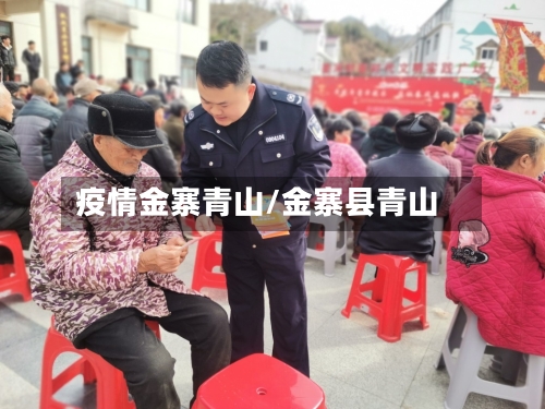 疫情金寨青山/金寨县青山-第2张图片