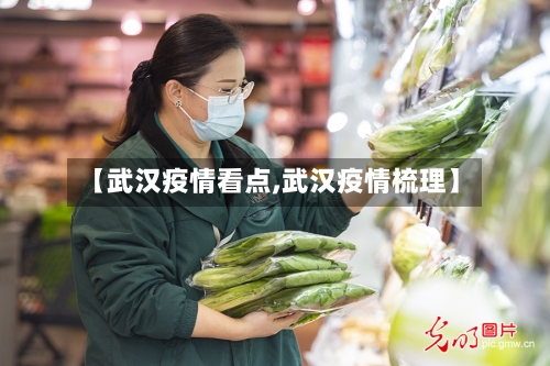 【武汉疫情看点,武汉疫情梳理】-第1张图片