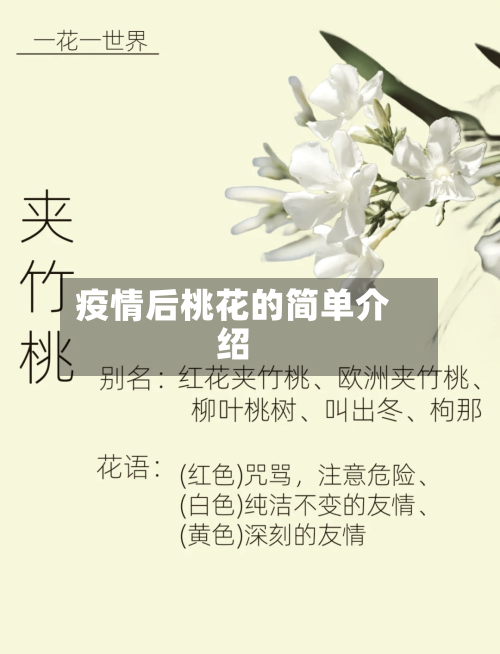 疫情后桃花的简单介绍-第1张图片