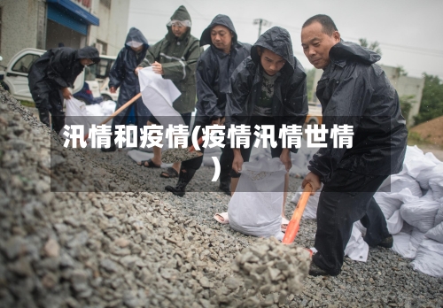 汛情和疫情(疫情汛情世情)-第2张图片