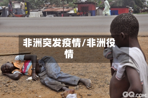 非洲突发疫情/非洲役情-第1张图片