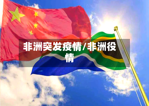 非洲突发疫情/非洲役情-第2张图片