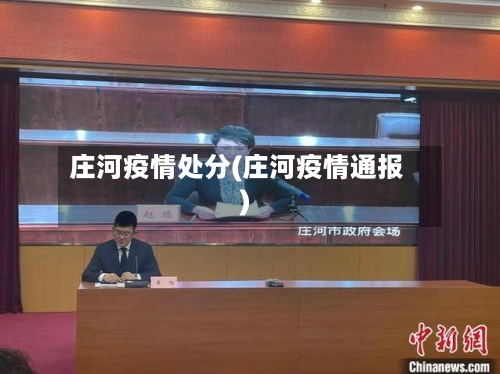庄河疫情处分(庄河疫情通报)-第2张图片