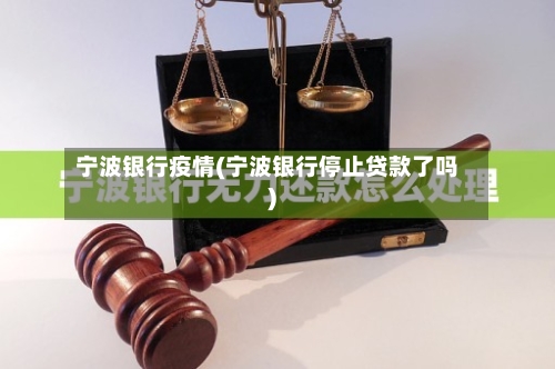 宁波银行疫情(宁波银行停止贷款了吗)-第3张图片