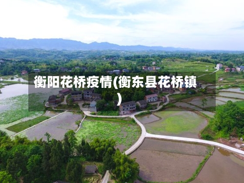 衡阳花桥疫情(衡东县花桥镇)-第2张图片